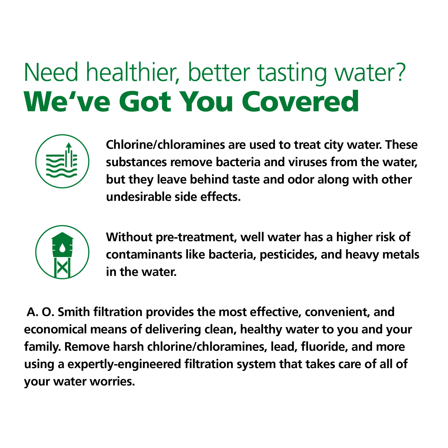 AO Smith 2-Stage Drinking Water Filter